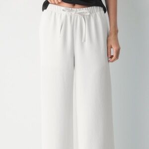 Aritzia Lodge Pant - Crepette